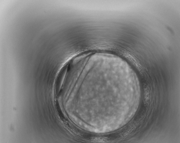 X0000115410680200912011226