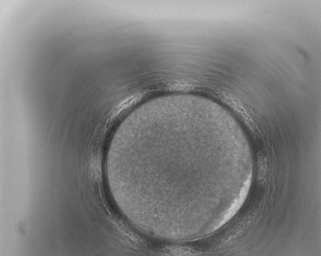 X0000115410681200912011226