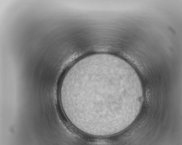 X0000115410682200912011226