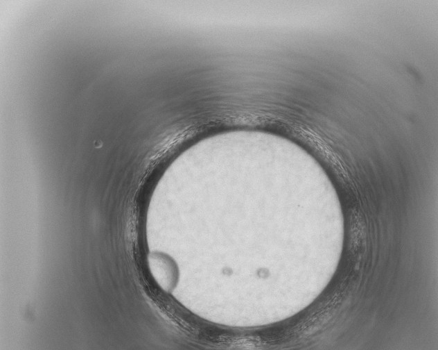 X0000115410683200912011226