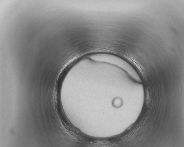 X0000115410684200912011226