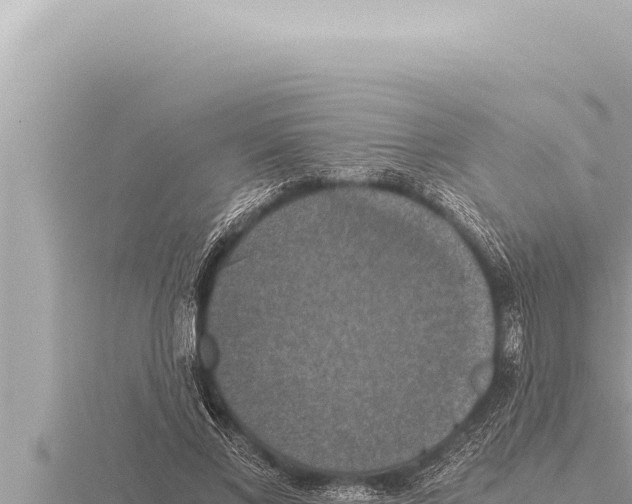 X0000115410685200912011226