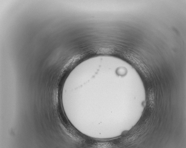 X0000115410686200912011226