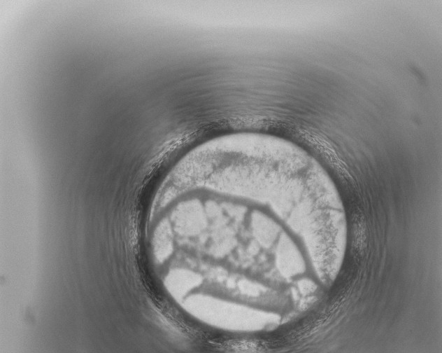 X0000115410687200912011226