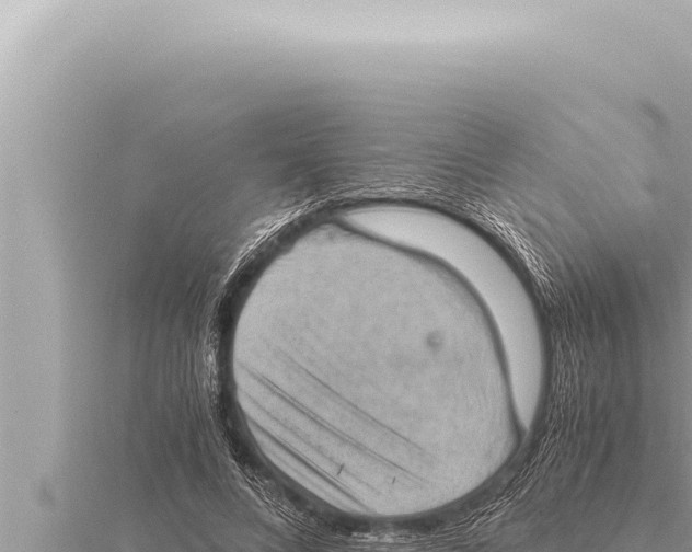 X0000115410688200912011226