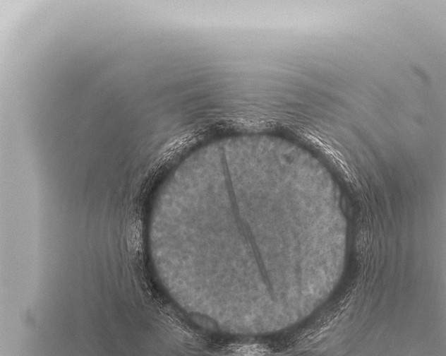 X0000115410689200912011226