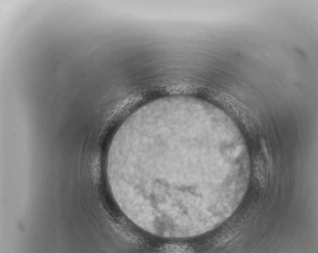 X0000115410690200912011226