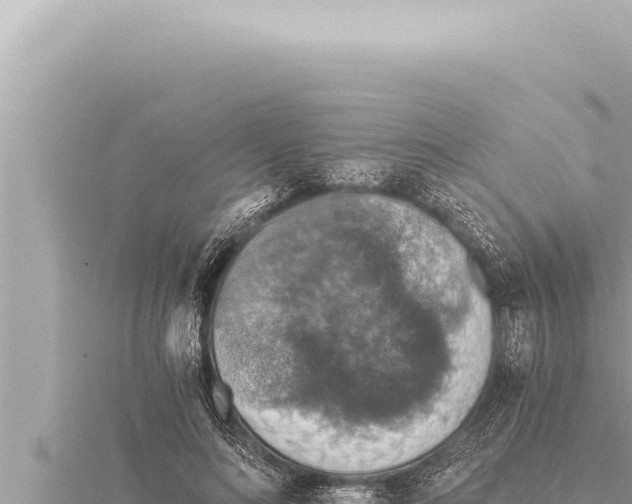 X0000115410692200912011226