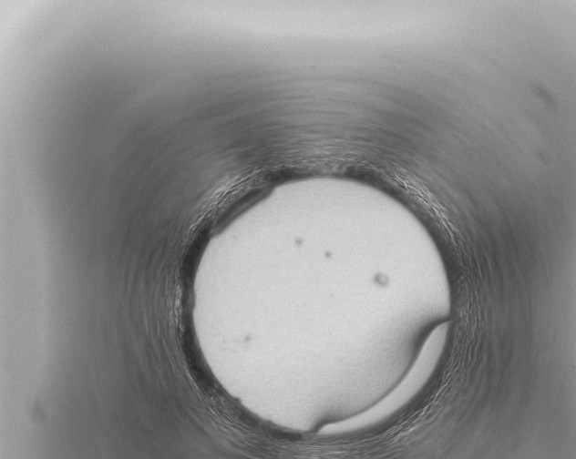 X0000115410693200912011226