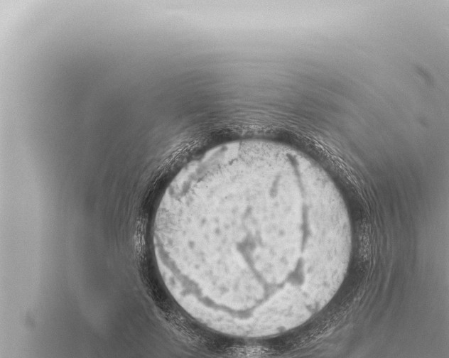 X0000115410695200912011226