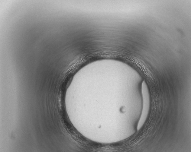 X0000115410696200912011226