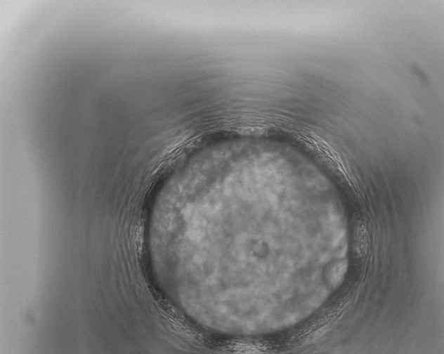 X0000115410697200912011226