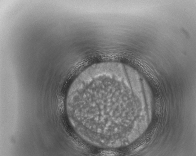 X0000115410699200912011225