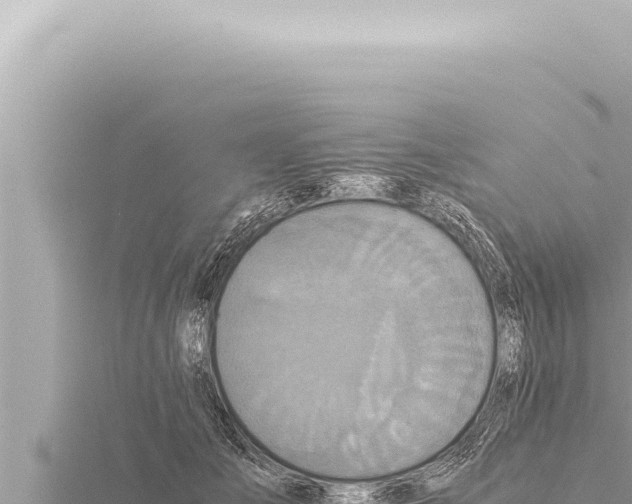 X0000115410701200912011225