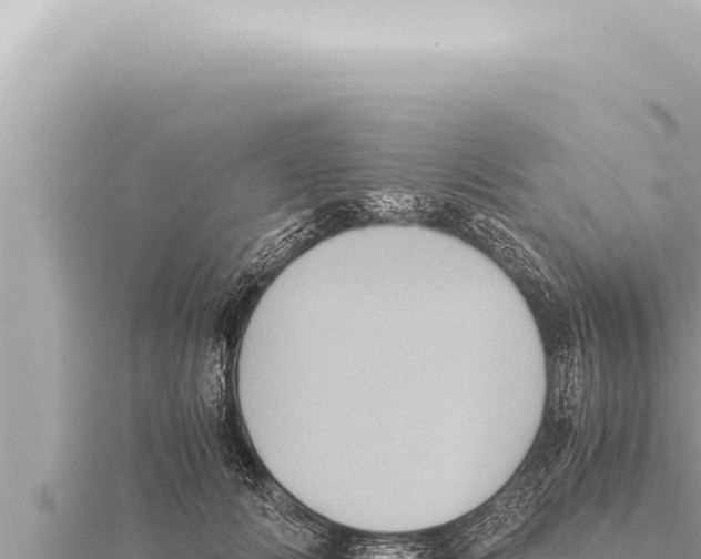 X0000115410702200912011225