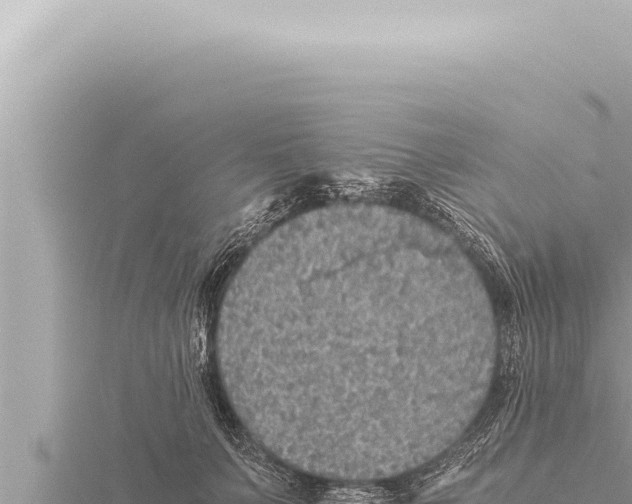 X0000115410703200912011225