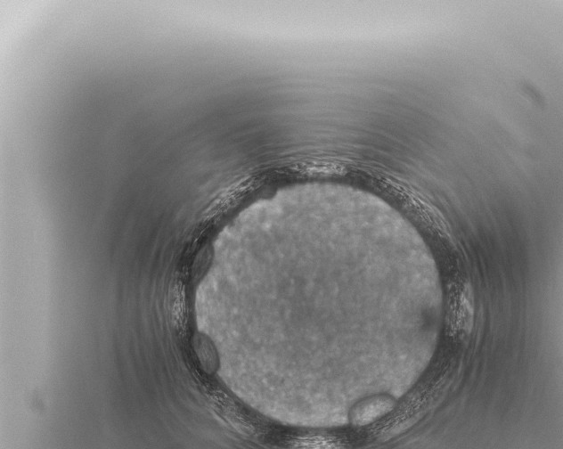 X0000115410704200912011225