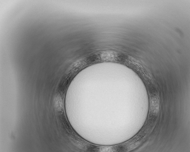 X0000115410705200912011225