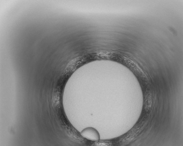 X0000115410706200912011225