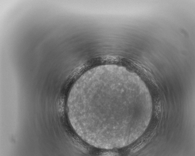 X0000115410708200912011225