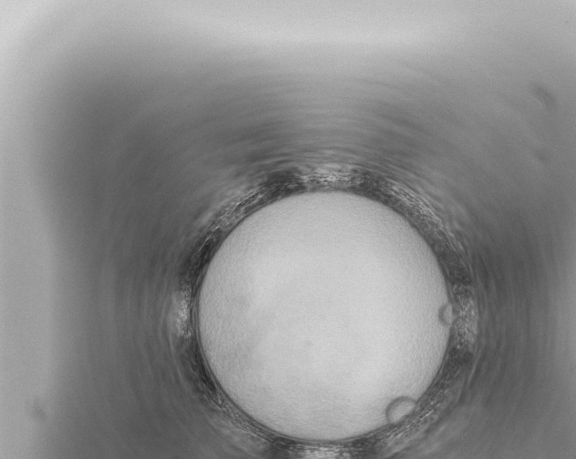 X0000115410709200912011225