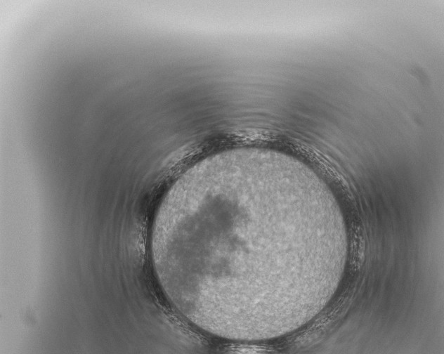 X0000115410710200912011225