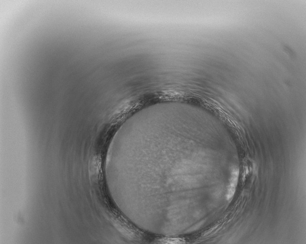 X0000115410711200912011225