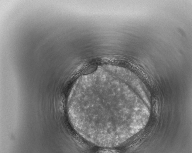 X0000115410712200912011225