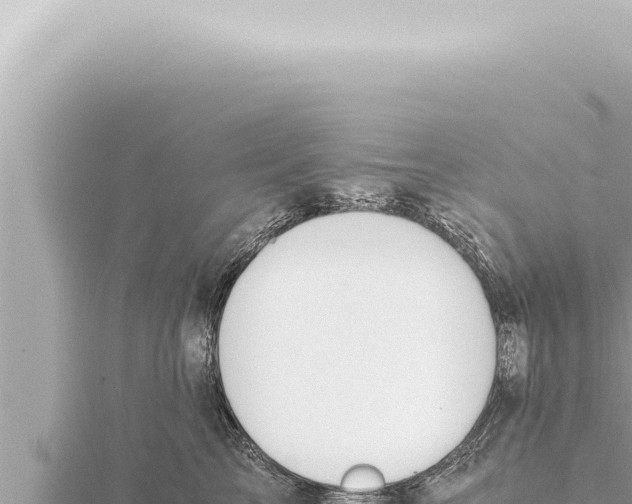 X0000115410713200912011225