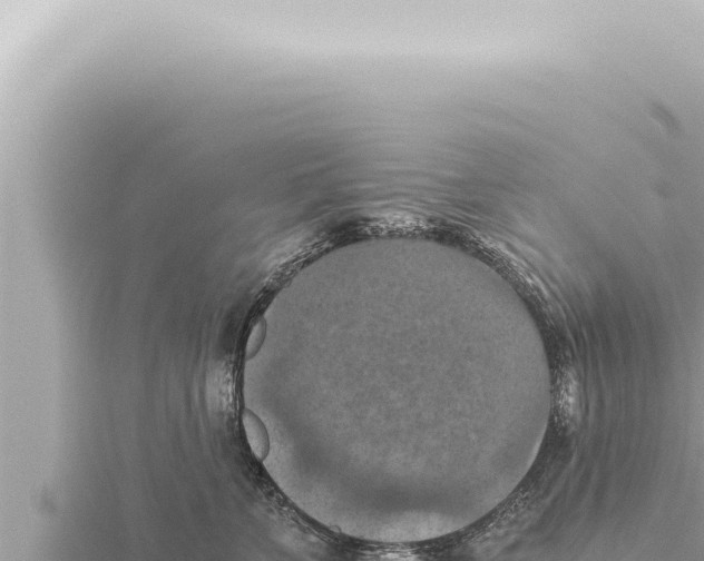 X0000115410715200912011225