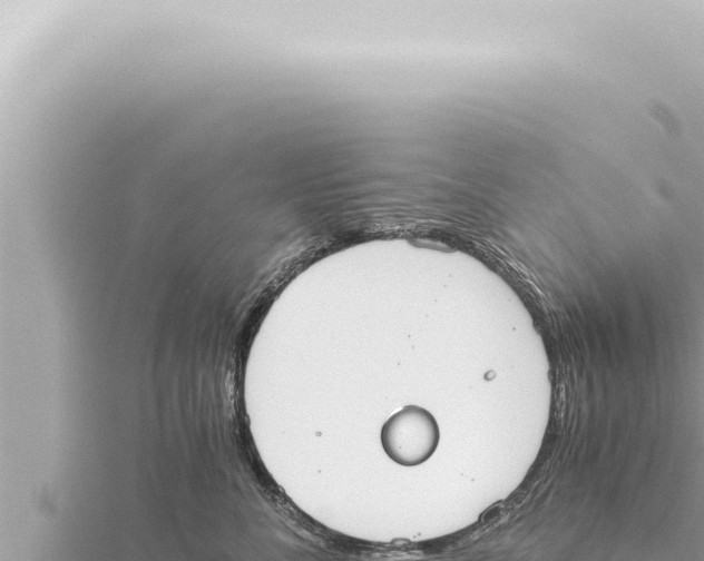 X0000115410716200912011225