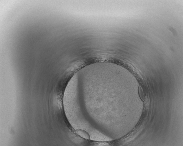 X0000115410719200912011225