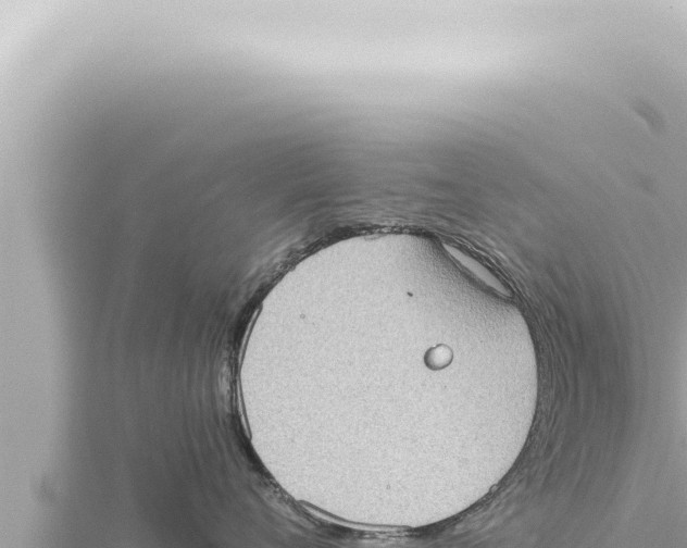 X0000115410720200912011225