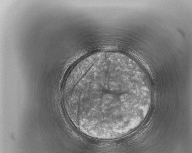 X0000115410721200912011225