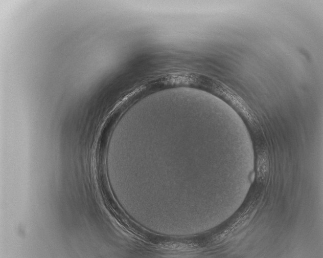 X0000115410722200912011225