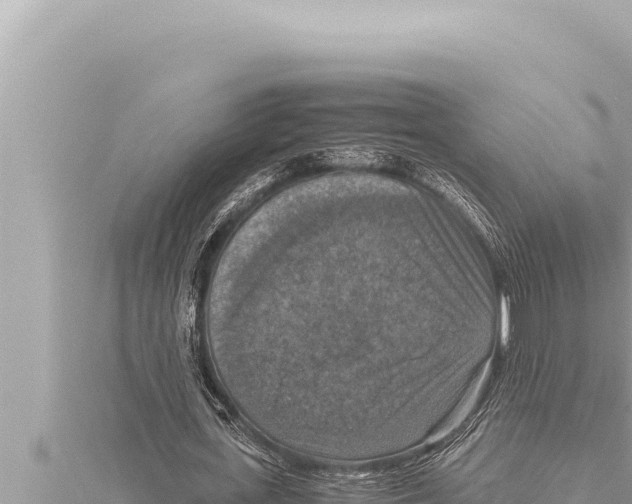 X0000115410723200912011225