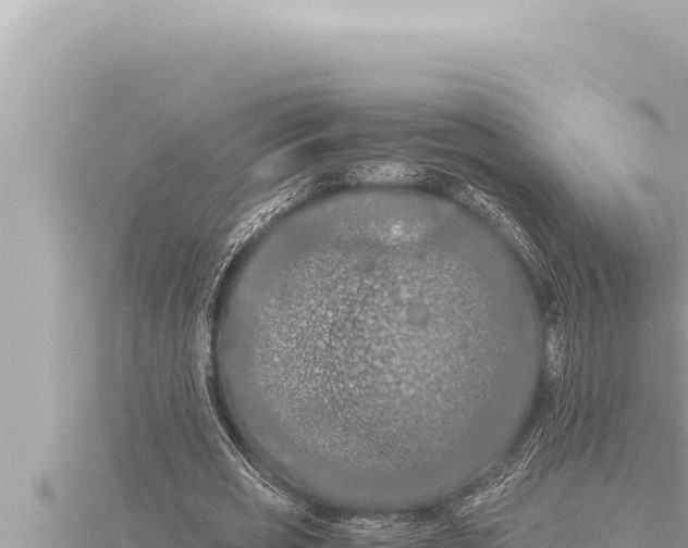 X0000115410725200912011225