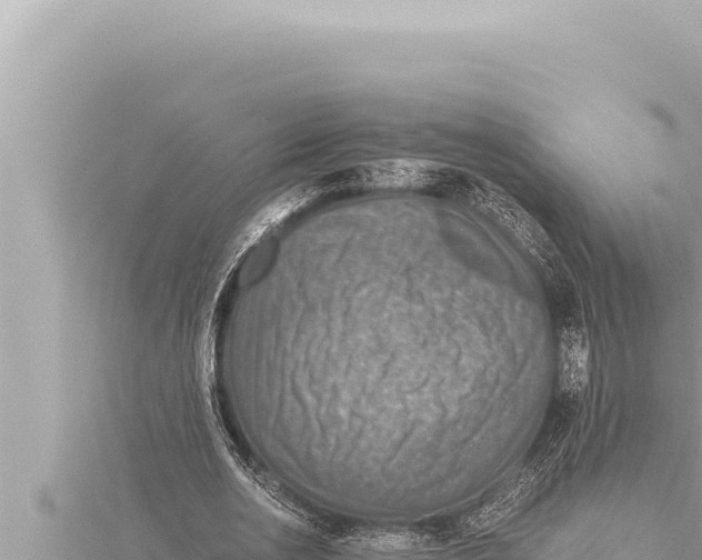 X0000115410726200912011225