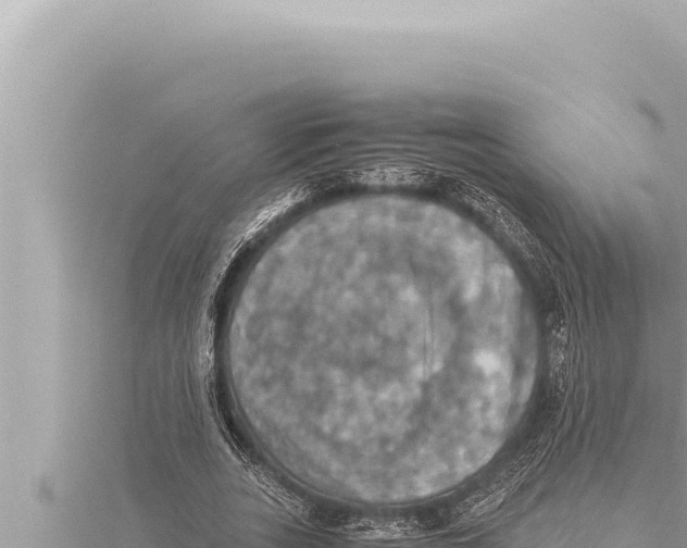 X0000115410727200912011225