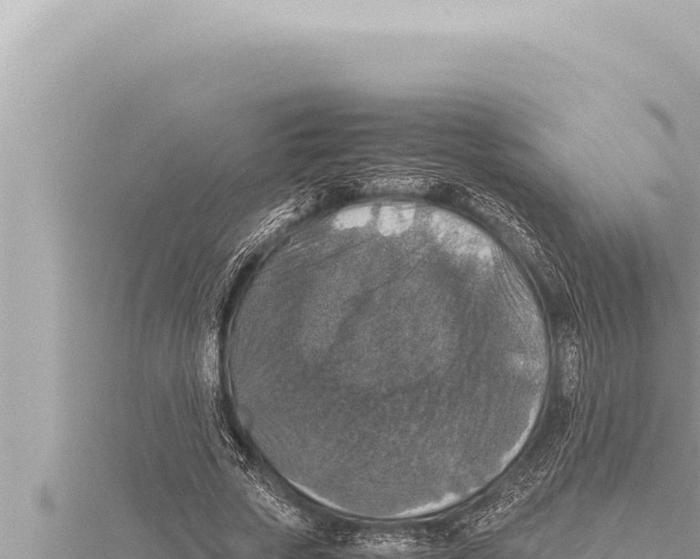 X0000115410729200912011225