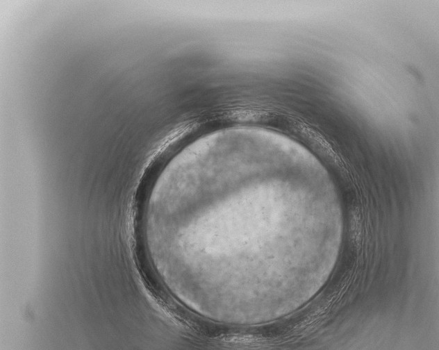 X0000115410730200912011225