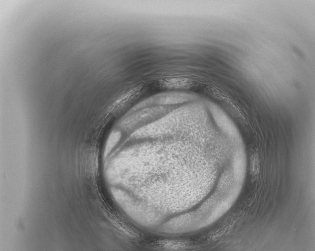 X0000115410733200912011225