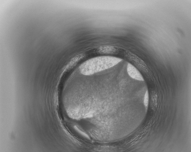 X0000115410734200912011225