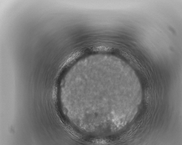 X0000115410735200912011225