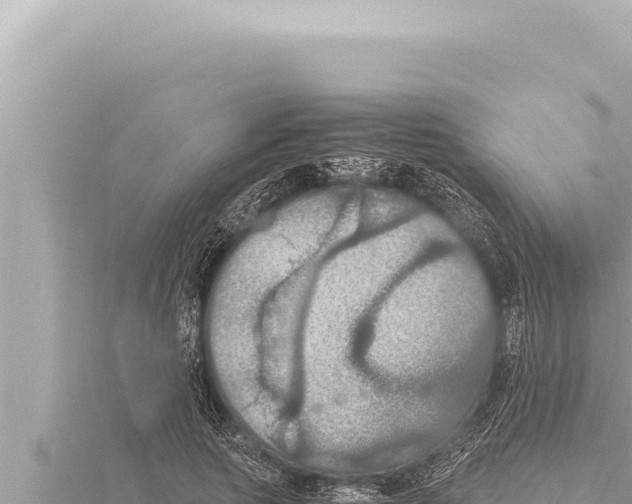 X0000115410737200912011225