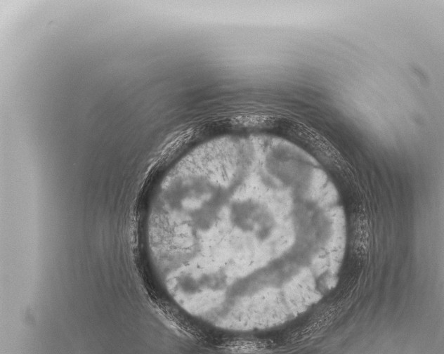 X0000115410738200912011225