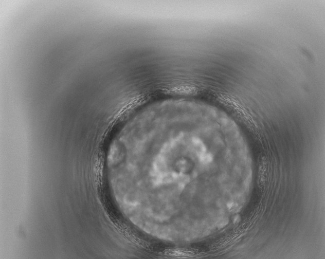 X0000115410739200912011225