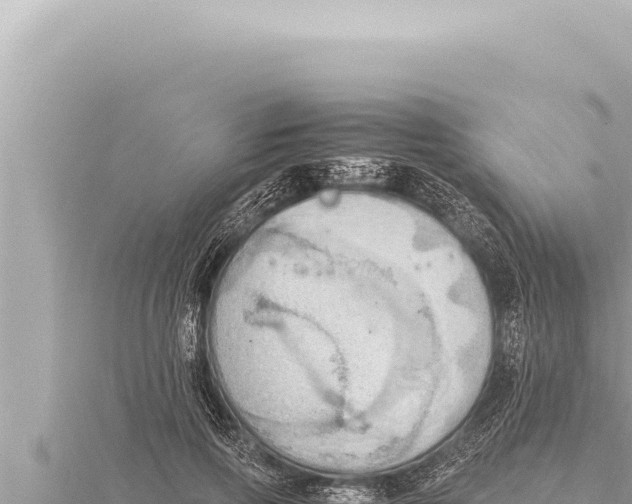 X0000115410741200912011225