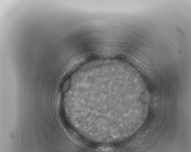 X0000115410742200912011225