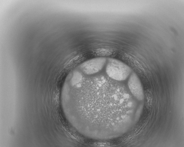 X0000115410745200912011225